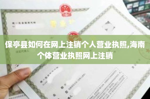 保亭县如何在网上注销个人营业执照,海南个体营业执照网上注销