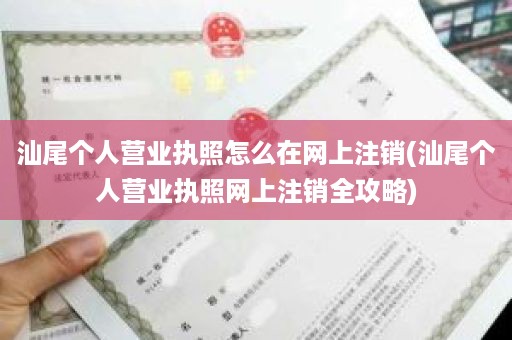 汕尾个人营业执照怎么在网上注销(汕尾个人营业执照网上注销全攻略)