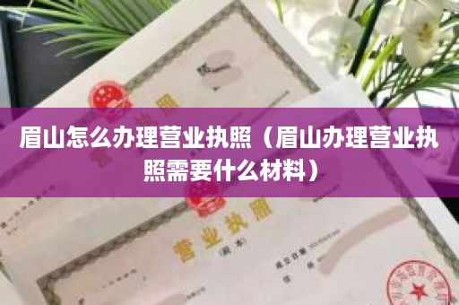 眉山怎么办理营业执照（眉山办理营业执照需要什么材料）