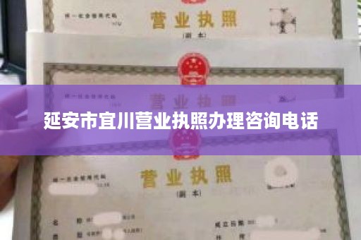 延安市宜川营业执照办理咨询电话