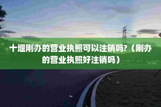 十堰刚办的营业执照可以注销吗?（刚办的营业执照好注销吗）