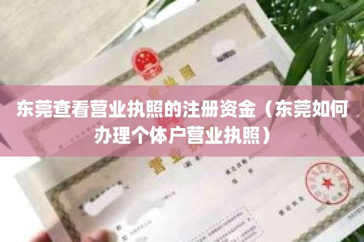 东莞查看营业执照的注册资金（东莞如何办理个体户营业执照）