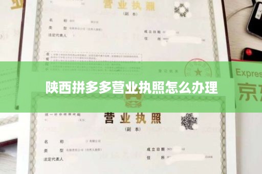 陕西拼多多营业执照怎么办理