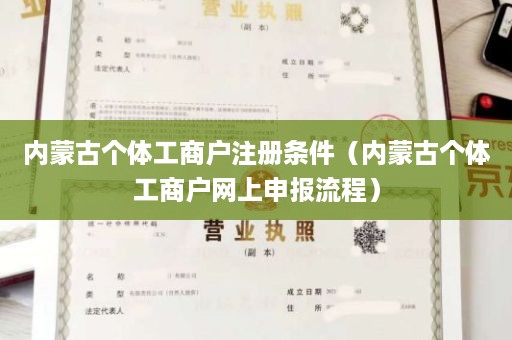 内蒙古个体工商户注册条件（内蒙古个体工商户网上申报流程）