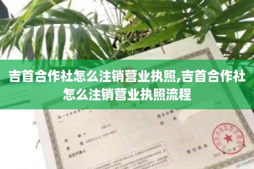 吉首合作社怎么注销营业执照,吉首合作社怎么注销营业执照流程