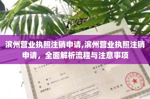 滨州营业执照注销申请,滨州营业执照注销申请，全面解析流程与注意事项