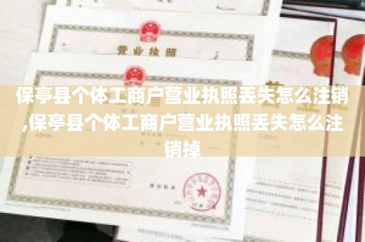 保亭县个体工商户营业执照丢失怎么注销,保亭县个体工商户营业执照丢失怎么注销掉