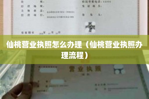 仙桃营业执照怎么办理（仙桃营业执照办理流程）