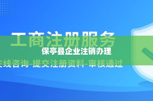 保亭县企业注销办理