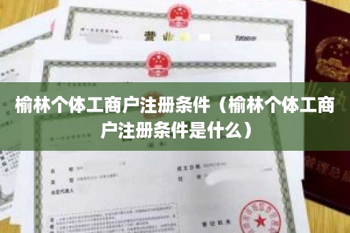 榆林个体工商户注册条件（榆林个体工商户注册条件是什么）