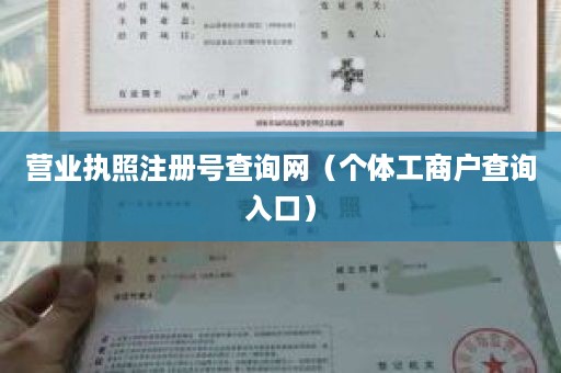 营业执照注册号查询网（个体工商户查询入口）