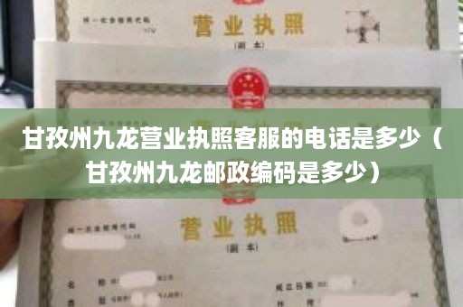 甘孜州九龙营业执照客服的电话是多少（甘孜州九龙邮政编码是多少）