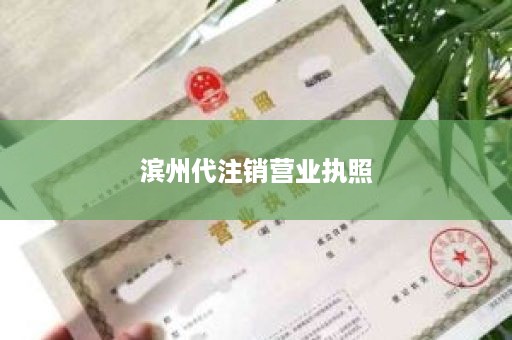 滨州代注销营业执照