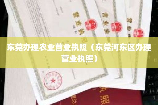 东莞办理农业营业执照（东莞河东区办理营业执照）