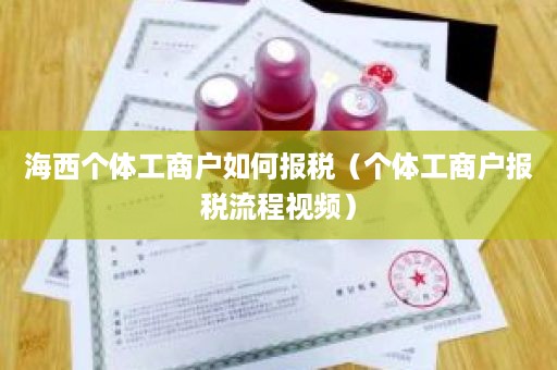 海西个体工商户如何报税（个体工商户报税流程视频）