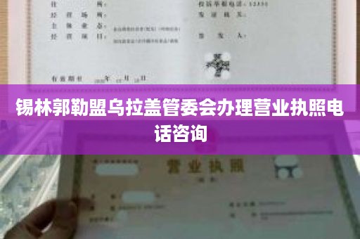 锡林郭勒盟乌拉盖管委会办理营业执照电话咨询