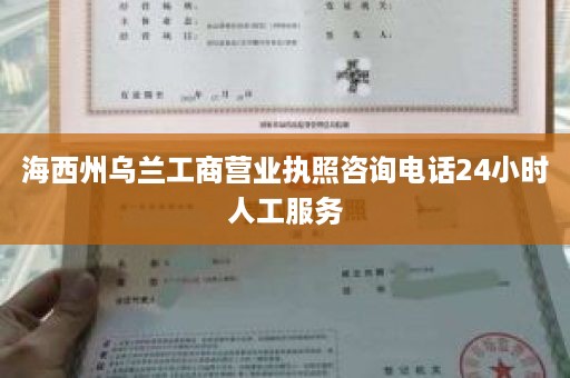 海西州乌兰工商营业执照咨询电话24小时人工服务