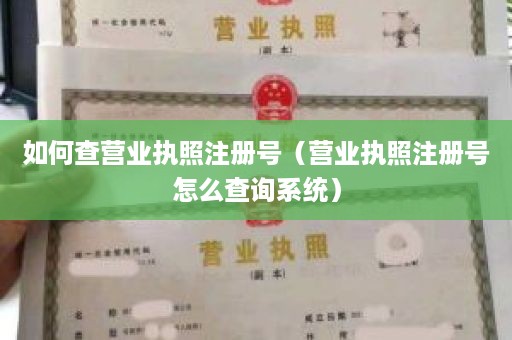 如何查营业执照注册号（营业执照注册号怎么查询系统）