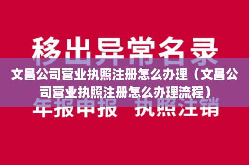 文昌公司营业执照注册怎么办理（文昌公司营业执照注册怎么办理流程）