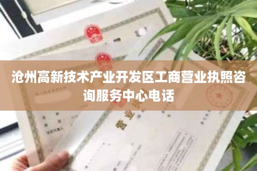 沧州高新技术产业开发区工商营业执照咨询服务中心电话