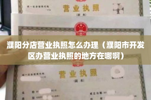 濮阳分店营业执照怎么办理（濮阳市开发区办营业执照的地方在哪啊）