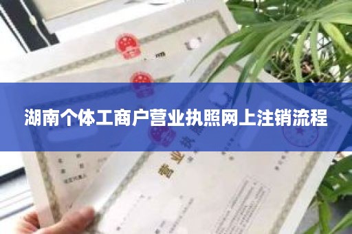 湖南个体工商户营业执照网上注销流程