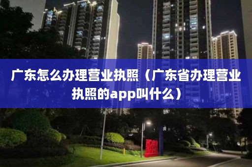 广东怎么办理营业执照（广东省办理营业执照的app叫什么）