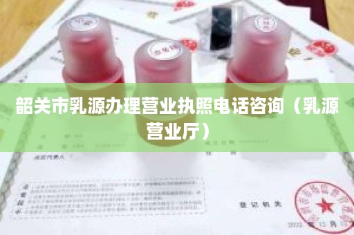 韶关市乳源办理营业执照电话咨询（乳源营业厅）