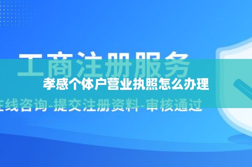 孝感个体户营业执照怎么办理