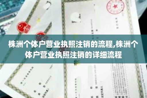 株洲个体户营业执照注销的流程,株洲个体户营业执照注销的详细流程