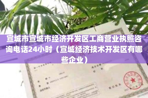 宣城市宣城市经济开发区工商营业执照咨询电话24小时（宣城经济技术开发区有哪些企业）