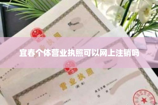 宜春个体营业执照可以网上注销吗