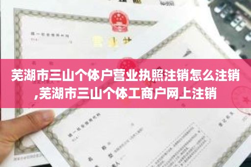 芜湖市三山个体户营业执照注销怎么注销,芜湖市三山个体工商户网上注销