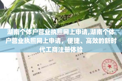 湖南个体户营业执照网上申请,湖南个体户营业执照网上申请，便捷、高效的新时代工商注册体验