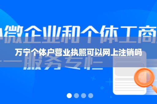 万宁个体户营业执照可以网上注销吗