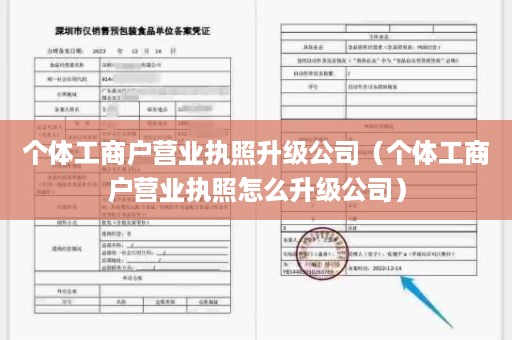 个体工商户营业执照升级公司（个体工商户营业执照怎么升级公司）