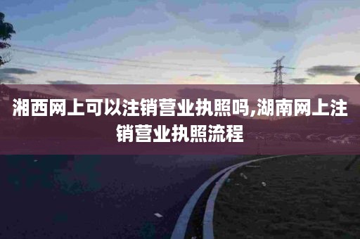 湘西网上可以注销营业执照吗,湖南网上注销营业执照流程