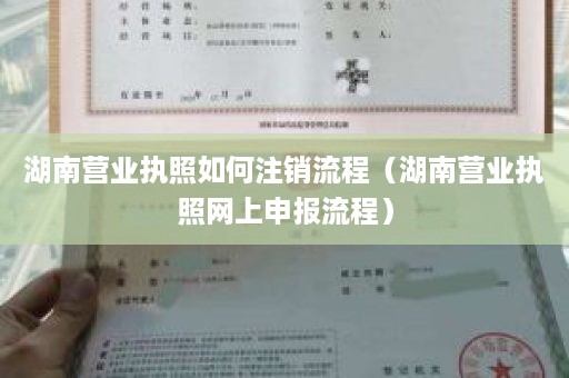 湖南营业执照如何注销流程（湖南营业执照网上申报流程）