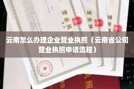 云南怎么办理企业营业执照（云南省公司营业执照申请流程）