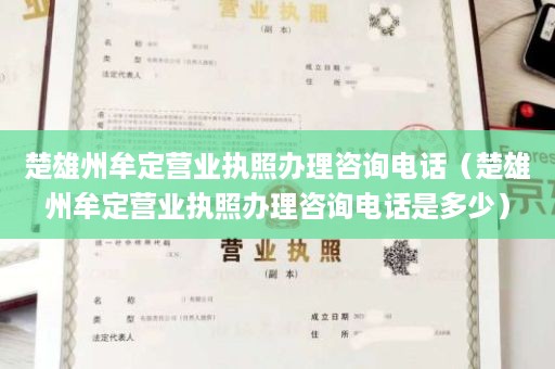 楚雄州牟定营业执照办理咨询电话（楚雄州牟定营业执照办理咨询电话是多少）