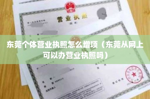 东莞个体营业执照怎么增项（东莞从网上可以办营业执照吗）