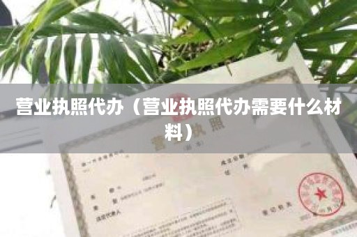 营业执照代办（营业执照代办需要什么材料）