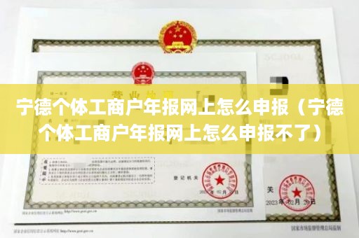 宁德个体工商户年报网上怎么申报（宁德个体工商户年报网上怎么申报不了）