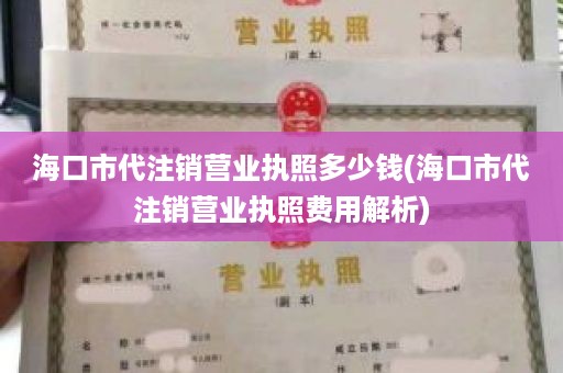 海口市代注销营业执照多少钱(海口市代注销营业执照费用解析)