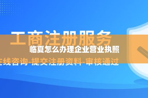 临夏怎么办理企业营业执照