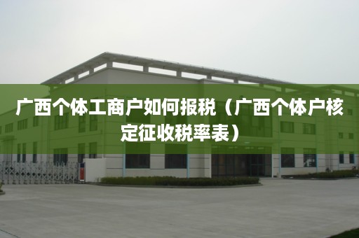 广西个体工商户如何报税（广西个体户核定征收税率表）