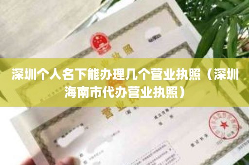 深圳个人名下能办理几个营业执照（深圳海南市代办营业执照）