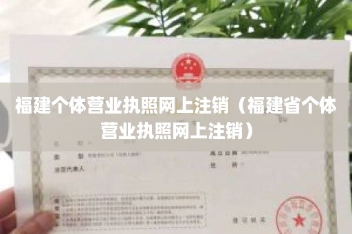 福建个体营业执照网上注销（福建省个体营业执照网上注销）