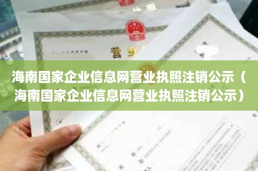 海南国家企业信息网营业执照注销公示（海南国家企业信息网营业执照注销公示）