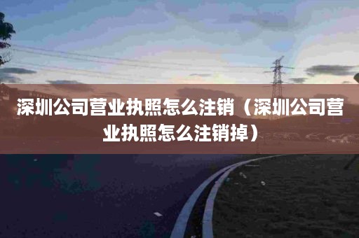 深圳公司营业执照怎么注销（深圳公司营业执照怎么注销掉）